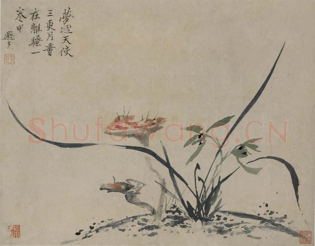 清 罗聘《灵芝兰花图页》书画作品