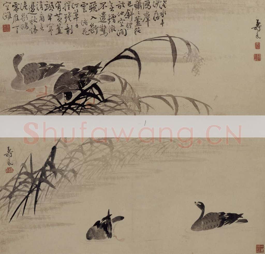 清 边寿民《芦雁图页》书画作品
