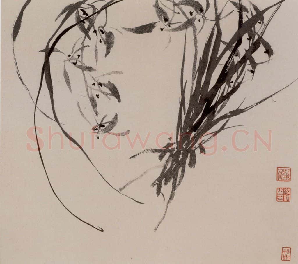 张敬修《兰花图册页》书画作品