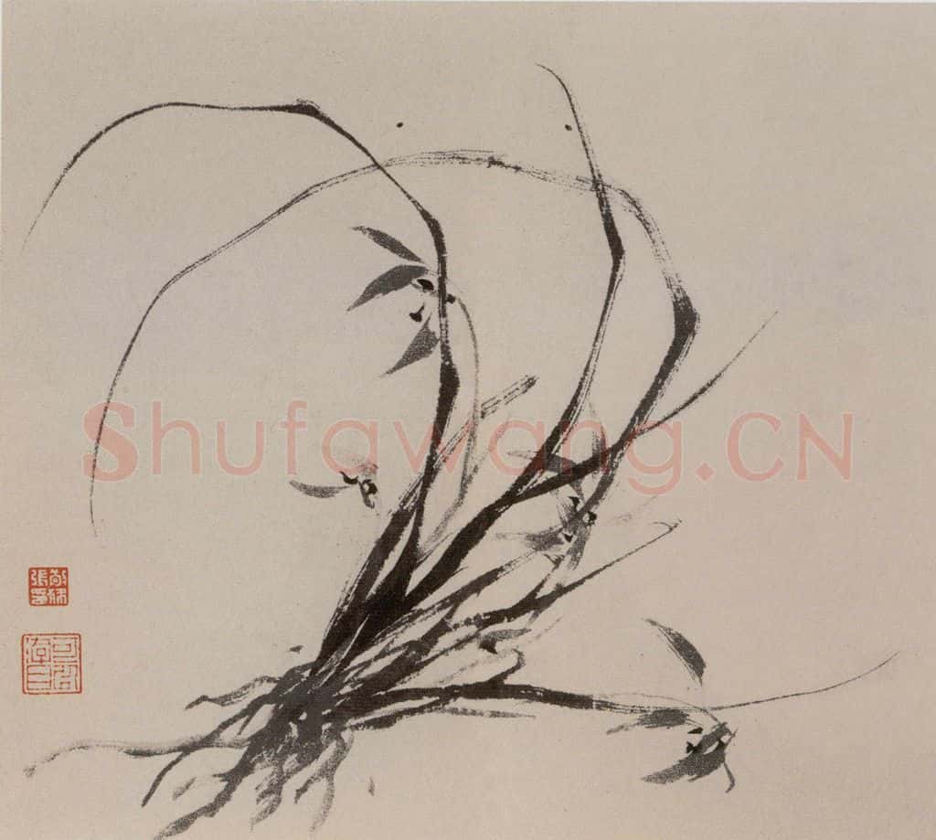 张敬修《兰花图册页》书画作品