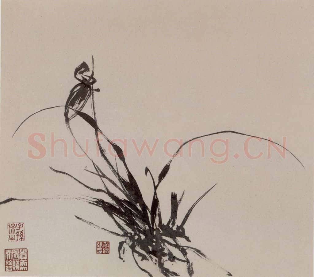 张敬修《兰花图册页》书画作品