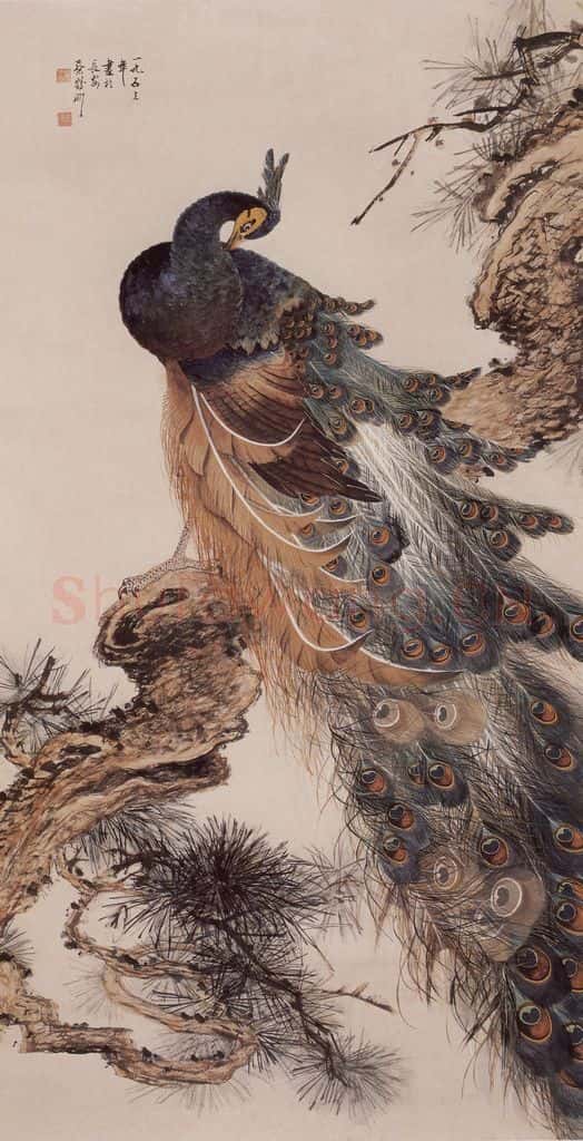 1953年 蔡鹤洲《孔雀》书画作品
