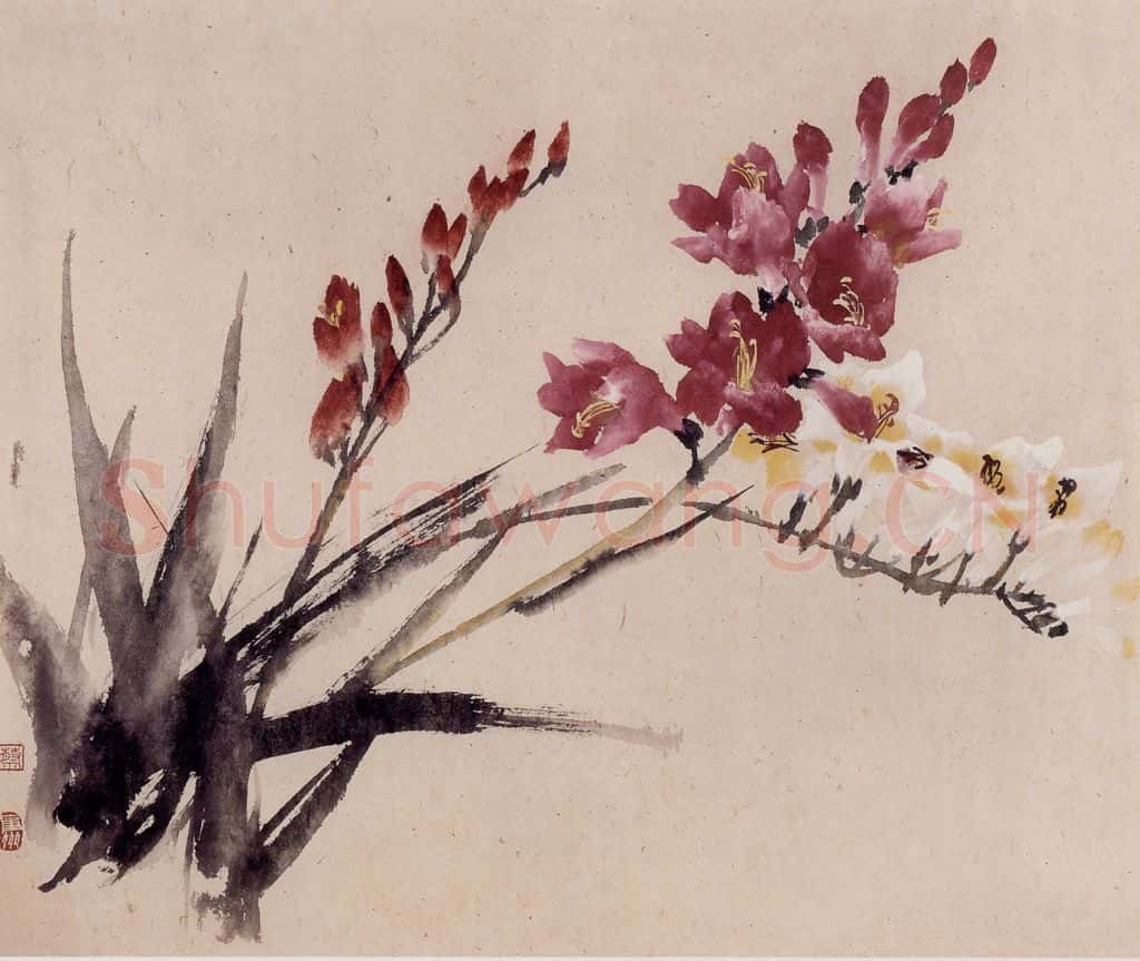1957年 蔡鹤洲《菖兰小写》书画作品