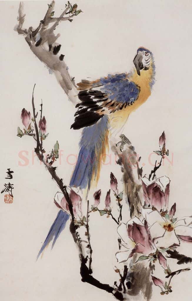 70年代 王雪涛《玉兰金刚》书画作品