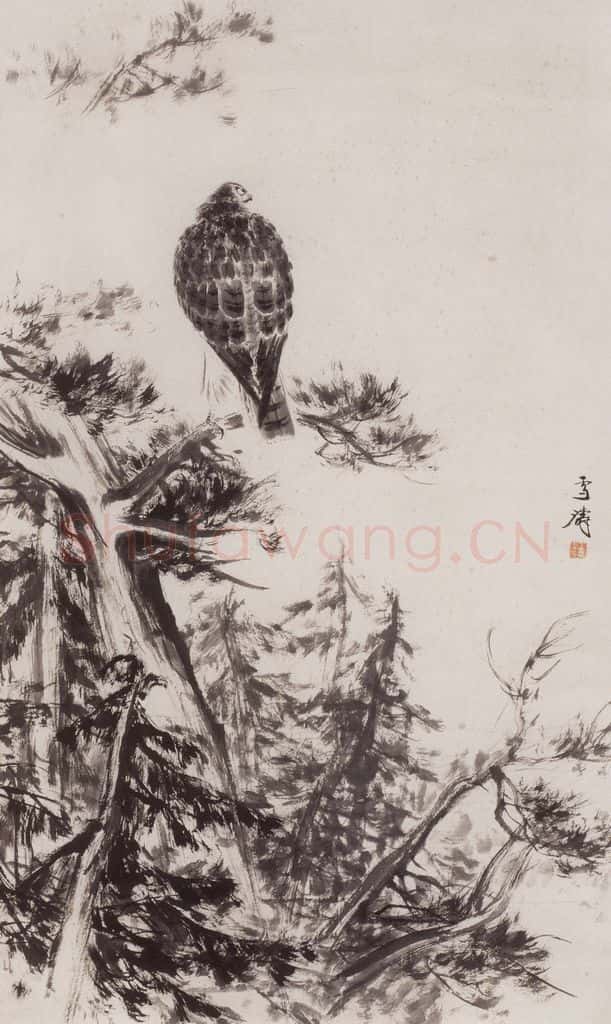 50年代 王雪涛《松鹰图》书画作品