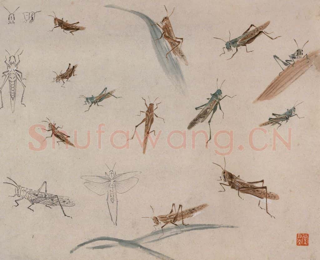 约1960年 王雪涛《草虫册页》书画作品