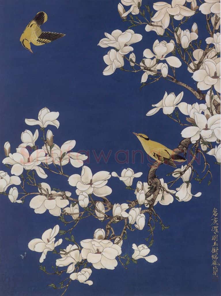 1956年 于非闇《玉兰黄鹂》书画作品