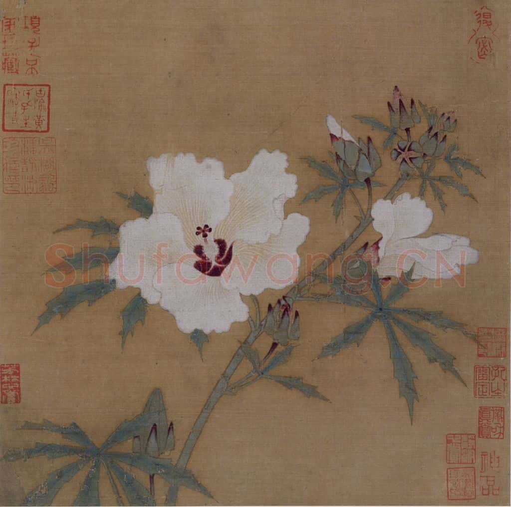 宋 佚名《秋葵图》书画作品