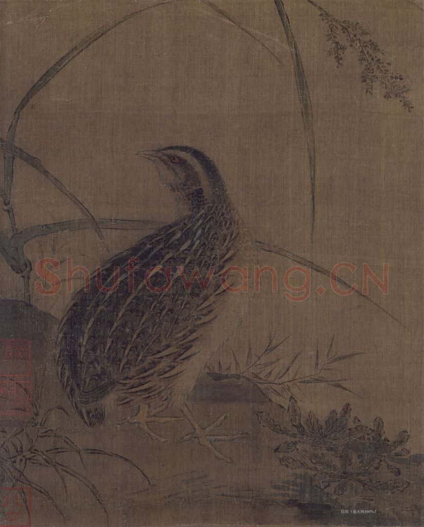 宋 佚名《鹌鹑图》书画作品
