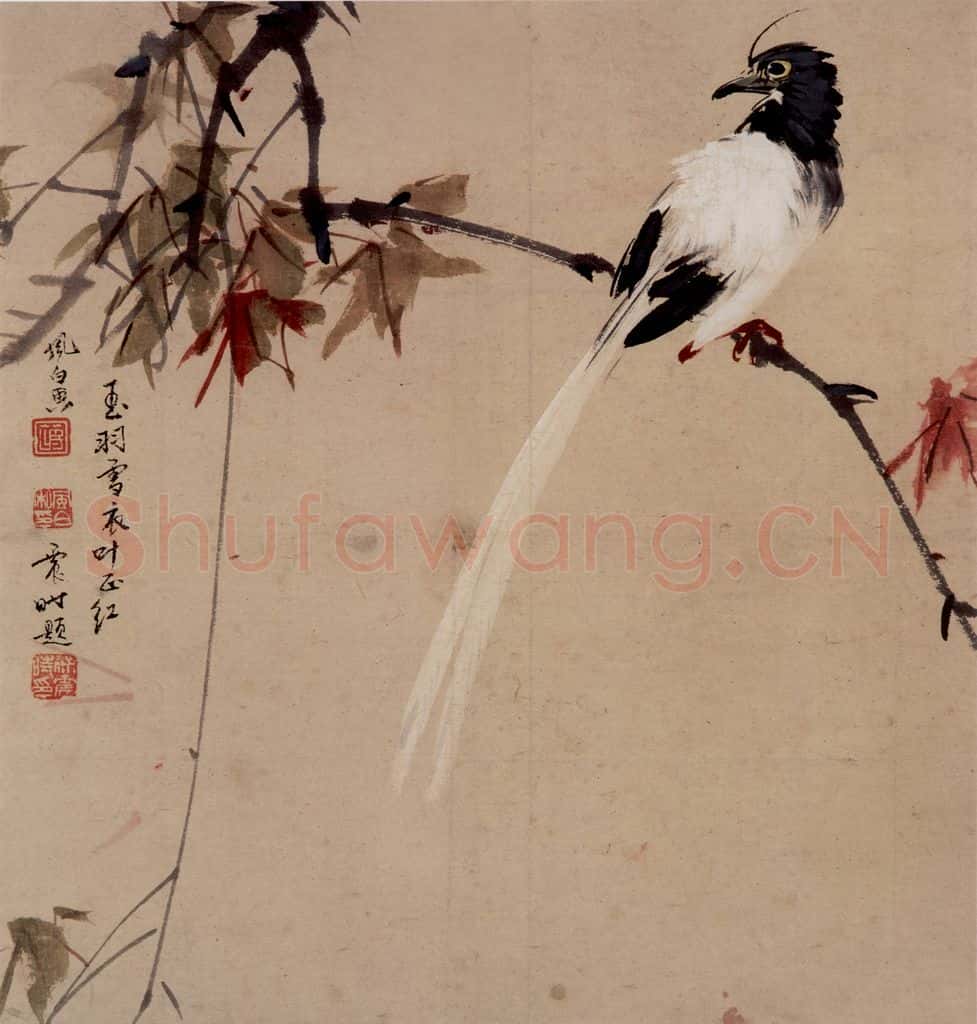 50年代 蒋凤白《玉羽雪衣叶正红》书画作品