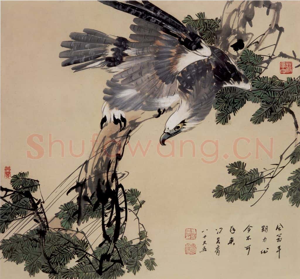 70年代 蒋凤白《鹰》书画作品