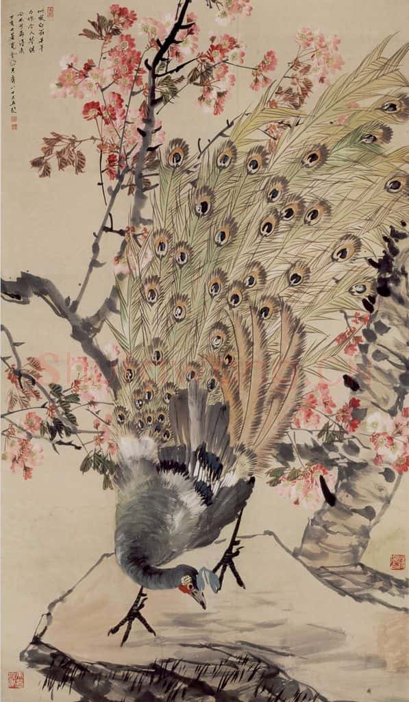 70年代 蒋凤白《樱花孔雀》书画作品