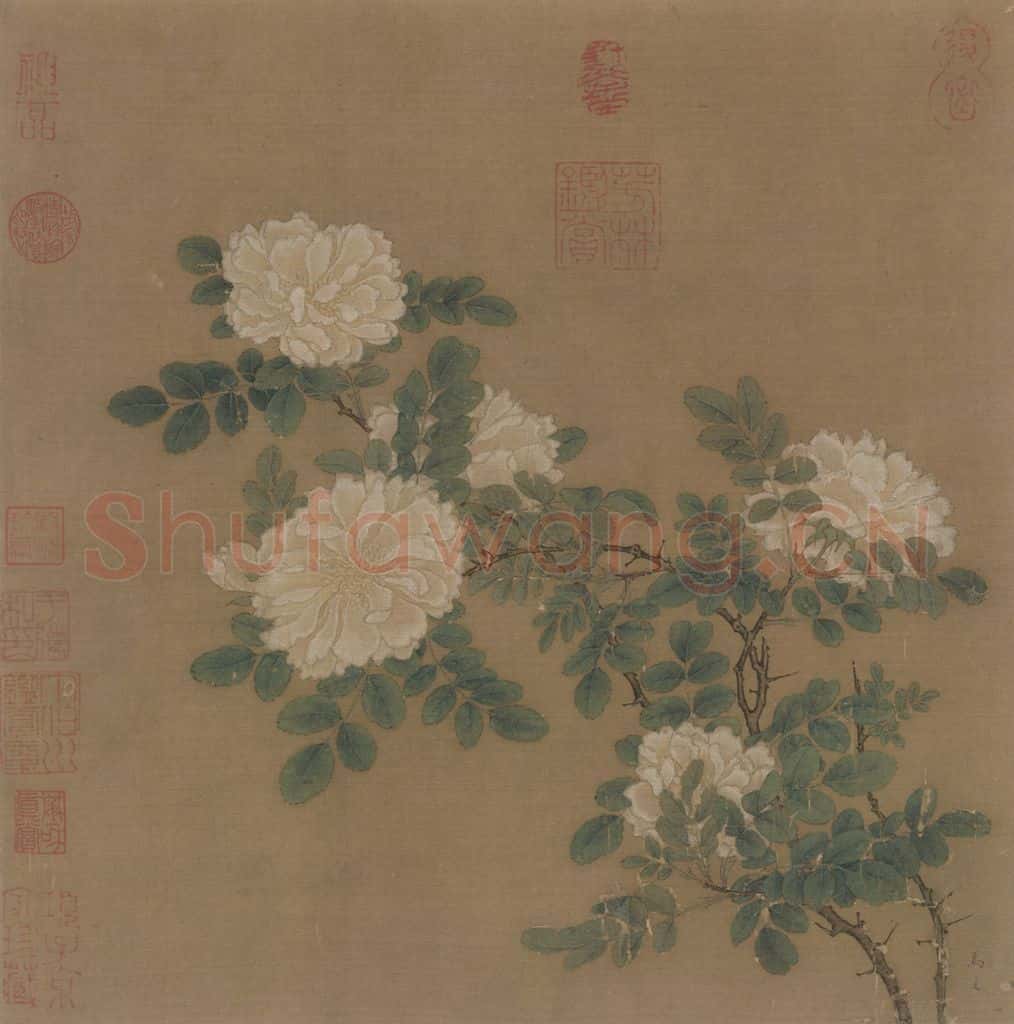 宋代 马远《白蔷薇图》书画作品