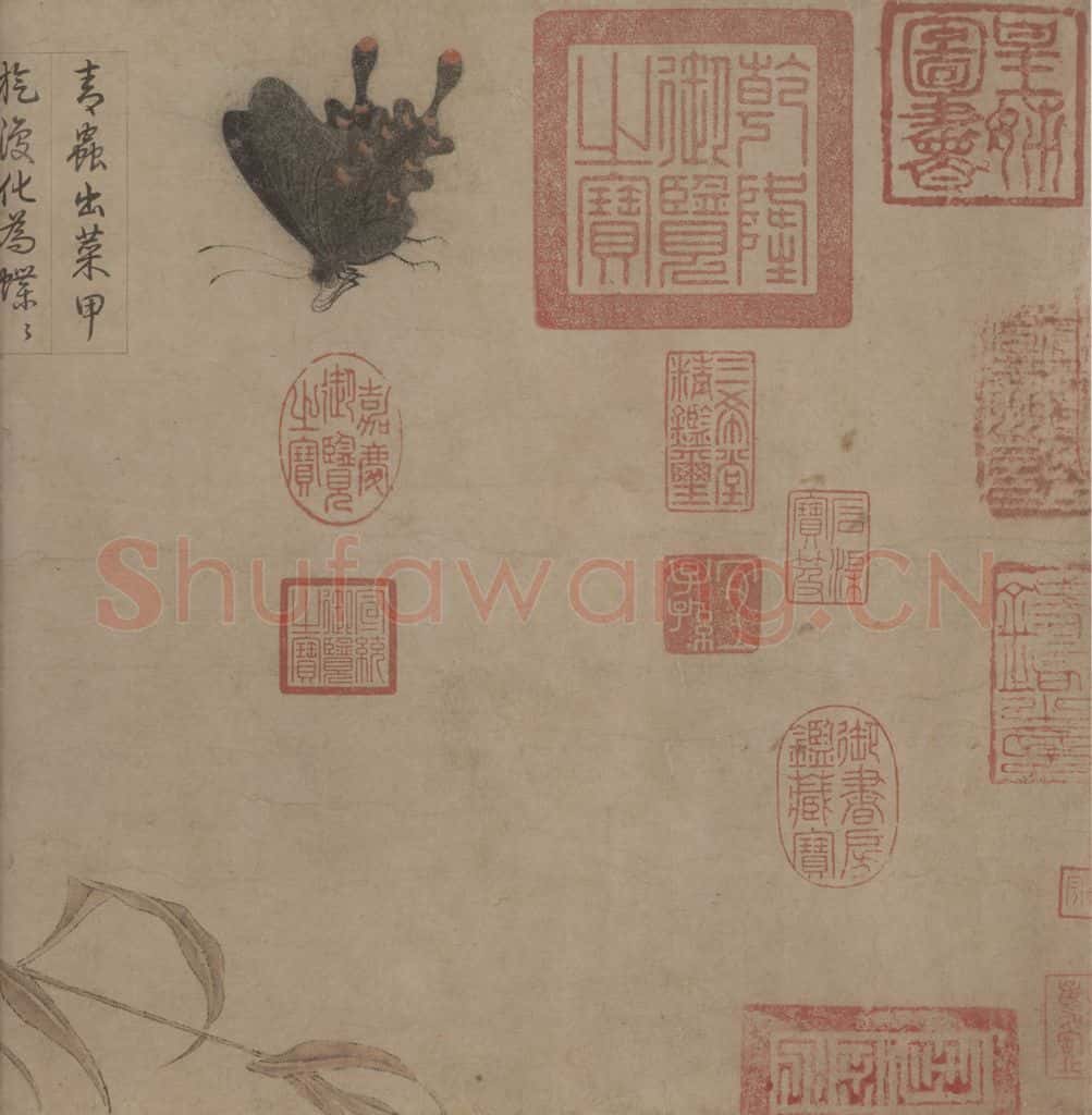 宋 赵昌《写生蛱蝶图》书画作品