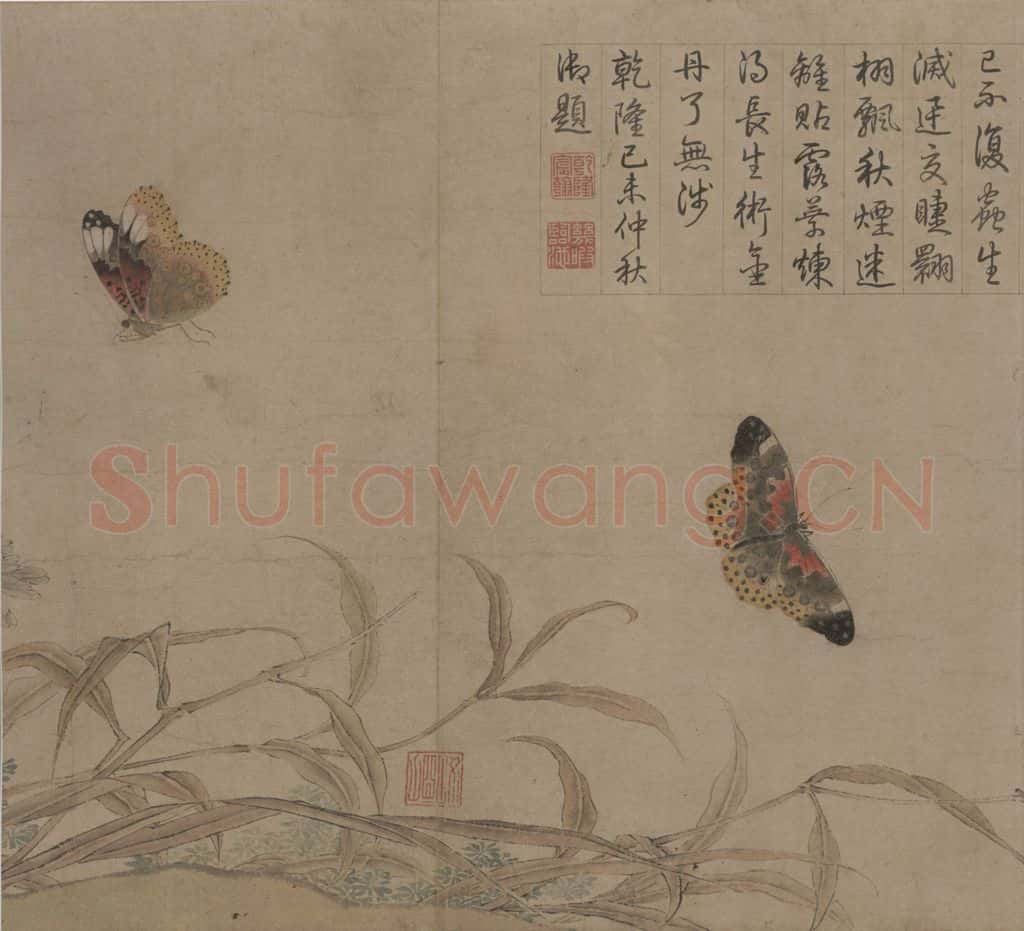 宋 赵昌《写生蛱蝶图》书画作品