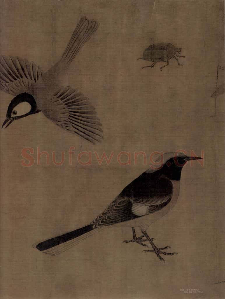 五代 黄筌《写生珍禽图》书画作品