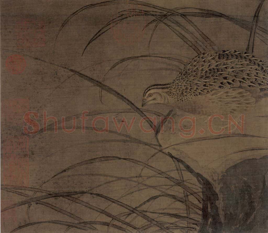 宋朝 佚名《鹌鹑图》书画作品
