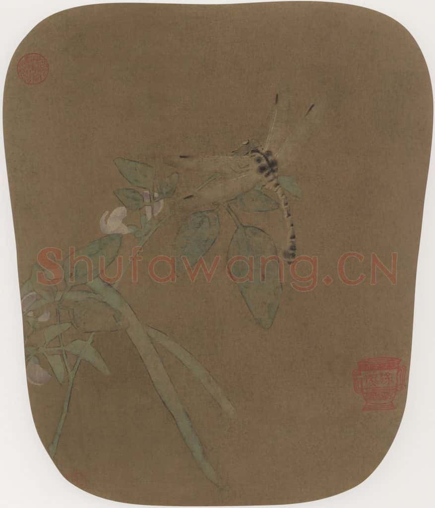 宋朝 佚名《豆花蜻蜓图》书画作品