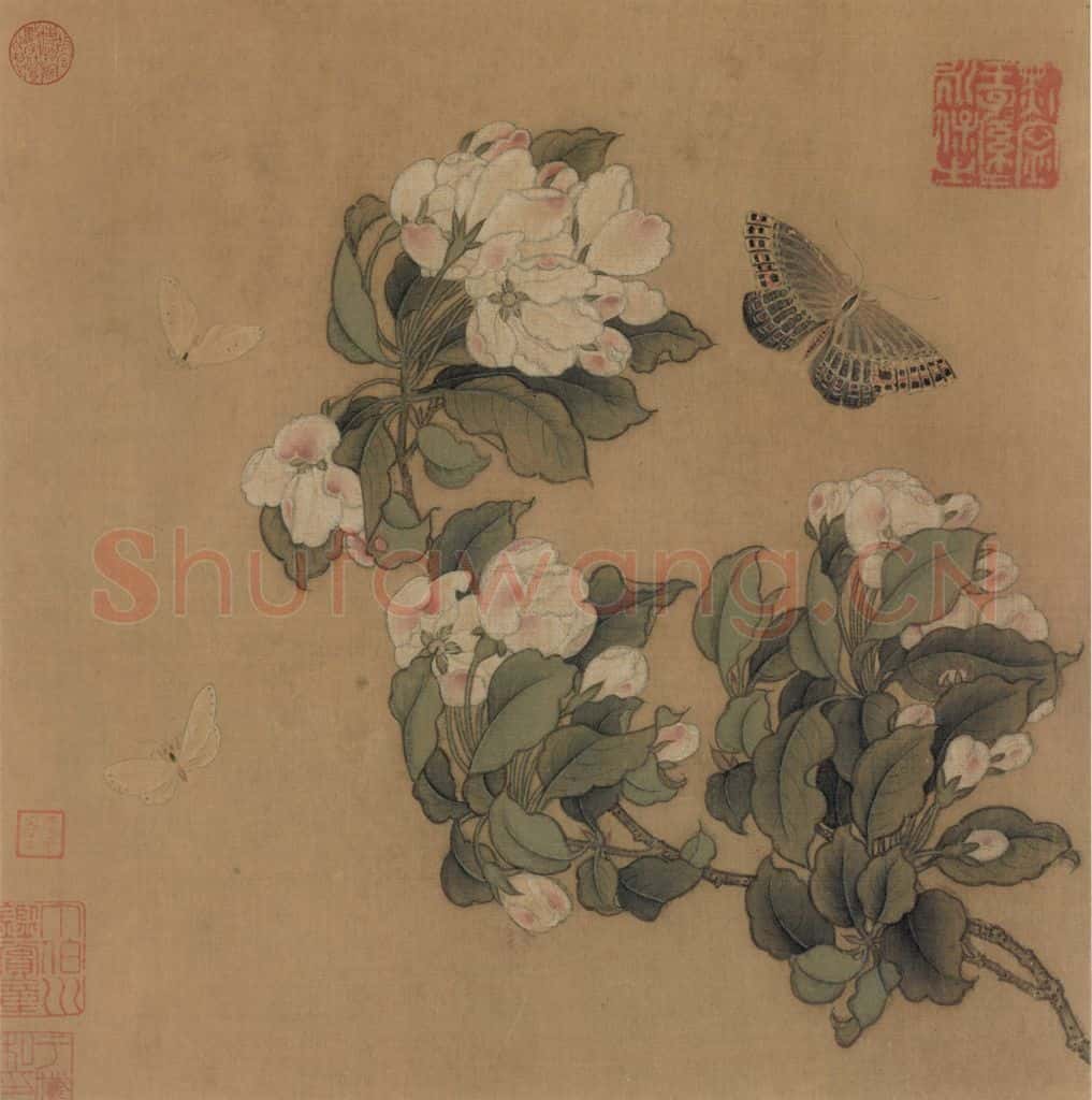 宋朝 佚名《海棠蛱蝶图》书画作品