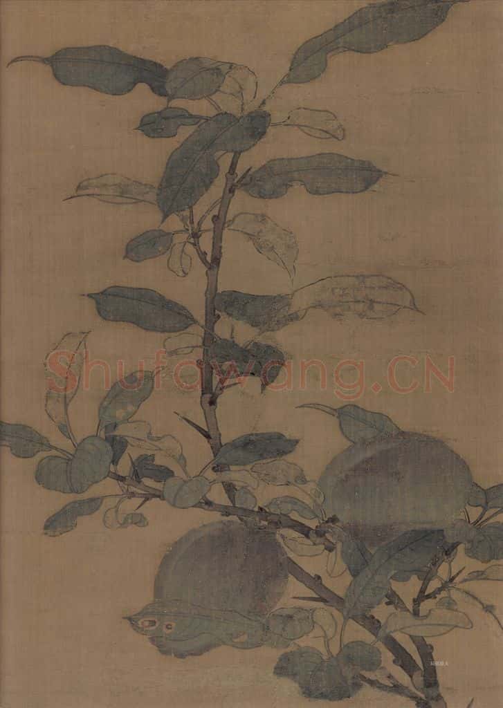 宋朝 佚名《折枝果图》书画作品