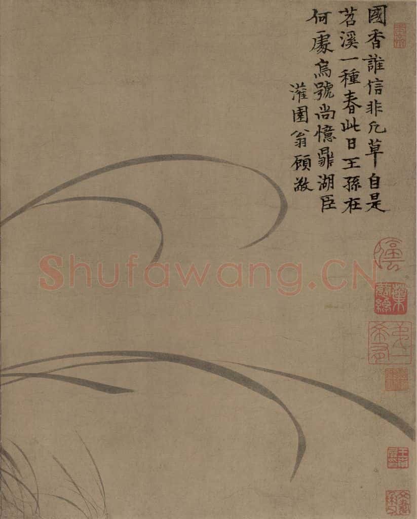 宋 赵孟坚《墨兰图》书画作品