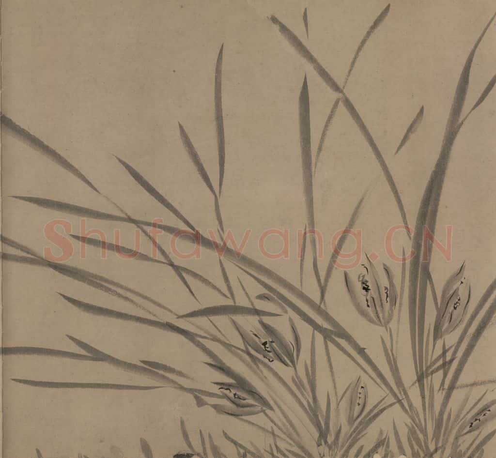 宋 赵孟坚《墨兰图》书画作品