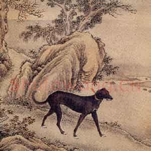 清代 艾启蒙《十骏犬图》国画花鸟工笔作品图片鉴赏