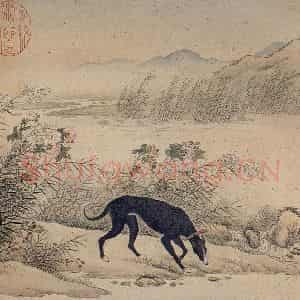 清代 艾启蒙《十骏犬图》国画花鸟工笔作品图片鉴赏
