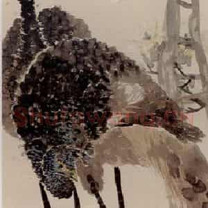 清代 任颐《玉兰孔雀图》国画花鸟作品图片鉴赏