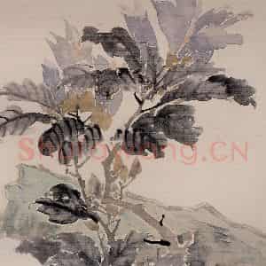 清代 任颐《花鸟图册》国画花鸟作品图片鉴赏