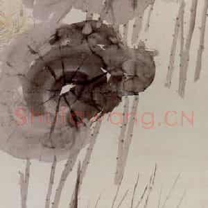 清代 任颐《荷花图》国画花鸟写意作品图片鉴赏