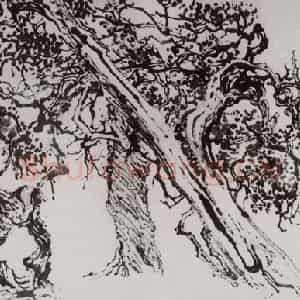1955年 刘海粟《清奇古怪图卷》国画山水作品图片鉴赏