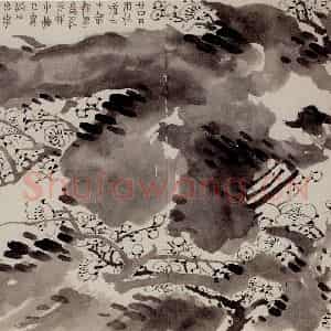 1757年 金农《梅花册》国画花鸟作品图片鉴赏