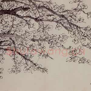 1757年 金农《梅花册》国画花鸟作品图片鉴赏