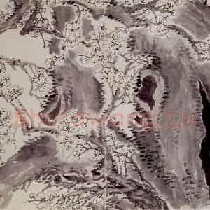 1757年 金农《梅花册》国画花鸟作品图片鉴赏