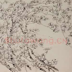 1757年 金农《梅花册》国画花鸟作品图片鉴赏