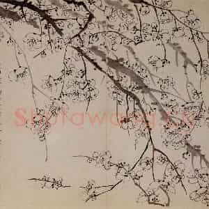 1757年 金农《梅花册》国画花鸟作品图片鉴赏