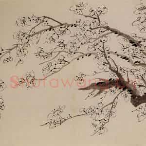 1757年 金农《梅花册》国画花鸟作品图片鉴赏