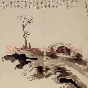 1757年 金农《梅花册》国画花鸟作品图片鉴赏