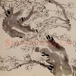 1757年 金农《梅花册》国画花鸟作品图片鉴赏