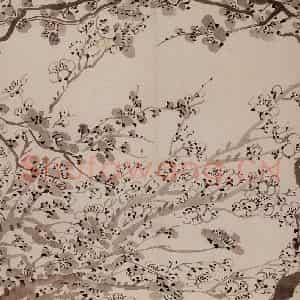 1757年 金农《梅花册》国画花鸟作品图片鉴赏