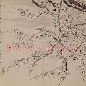 1757年 金农《梅花册》国画花鸟作品图片鉴赏