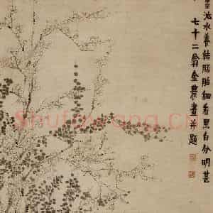 1758年 金农《梅花图》国画花鸟作品图片鉴赏