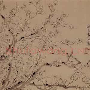 1758年 金农《梅花三绝》国画花鸟作品图片鉴赏