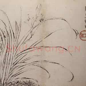 1759年 金农《杂画册》国画花鸟作品图片鉴赏