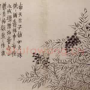 1759年 金农《杂画册》国画花鸟作品图片鉴赏