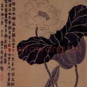 1754年 金农《杂画册》国画花鸟作品图片鉴赏