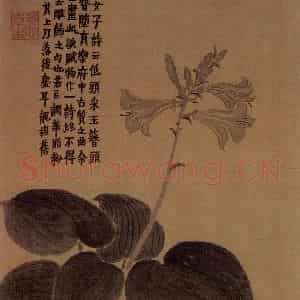 1754年 金农《杂画册》国画花鸟作品图片鉴赏
