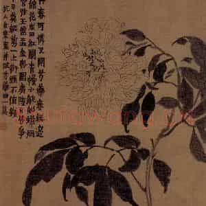 1754年 金农《杂画册》国画花鸟作品图片鉴赏