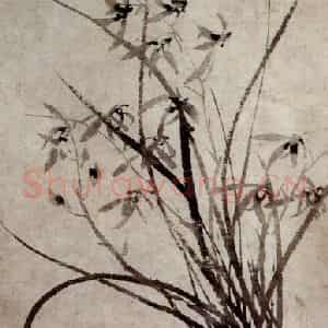 1754年 金农《兰花》国画花鸟作品图片鉴赏